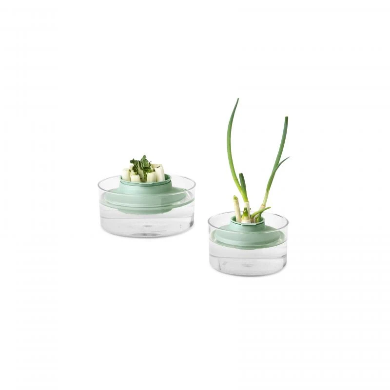 Brabantia Herbs And Vegetables Regrow Kit