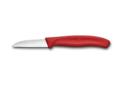 Victorinox Paring Knife - Straight Edge 6cm