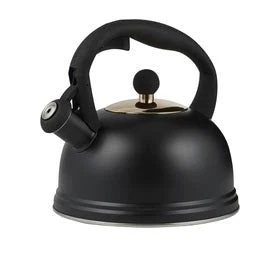 Typhoon Otto Stovetop Kettle 2L Black